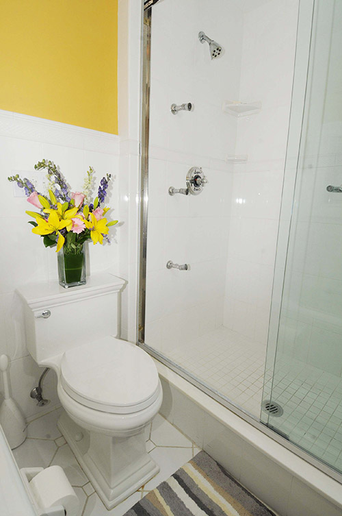 Shower Room Plumbing